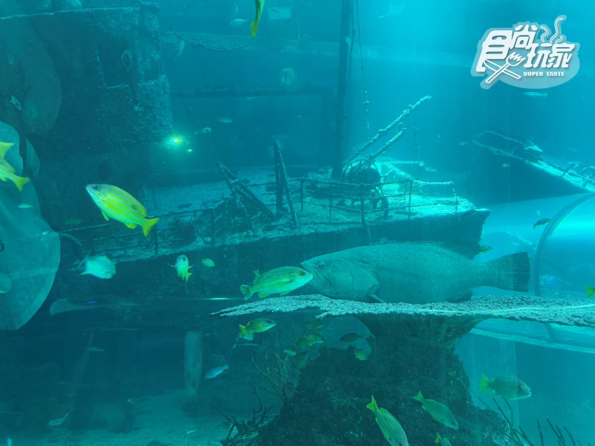 2026「屏東海生館」玩法攻略!地圖/餐廳/夜宿/附近美食景點 2026「屏東海生館」玩法攻略!地圖/餐廳/夜宿/附近美食景點