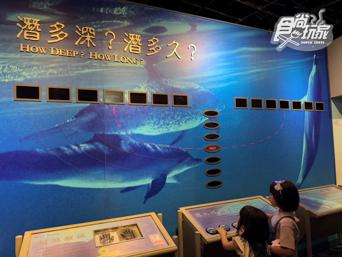2026「屏東海生館」玩法攻略!地圖/餐廳/夜宿/附近美食景點 2026「屏東海生館」玩法攻略!地圖/餐廳/夜宿/附近美食景點