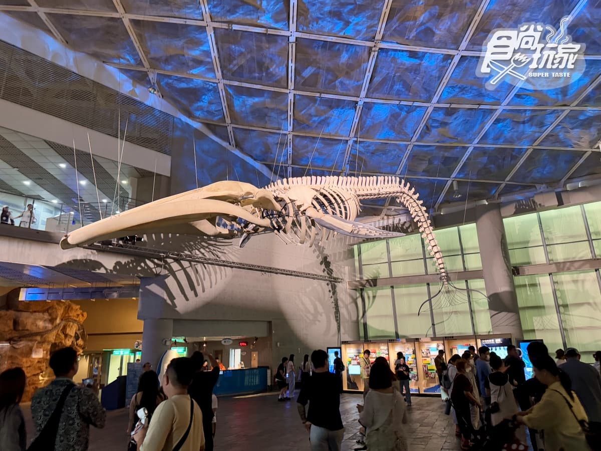 2026「屏東海生館」玩法攻略!地圖/餐廳/夜宿/附近美食景點 2026「屏東海生館」玩法攻略!地圖/餐廳/夜宿/附近美食景點