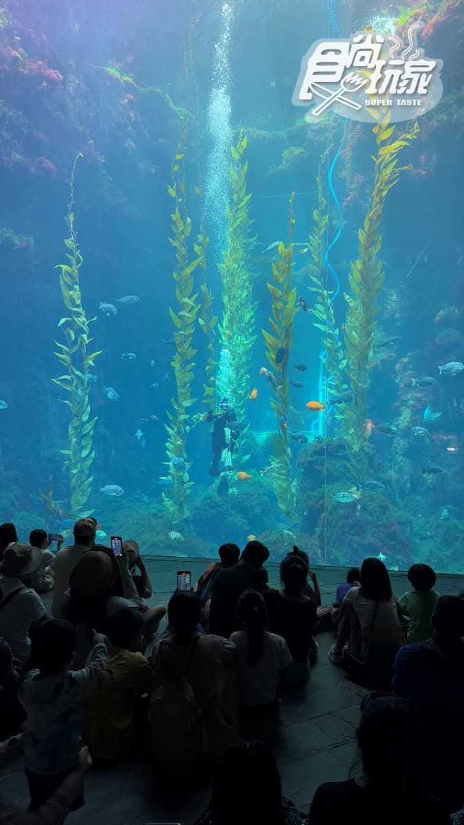 2026「屏東海生館」玩法攻略!地圖/餐廳/夜宿/附近美食景點 2026「屏東海生館」玩法攻略!地圖/餐廳/夜宿/附近美食景點