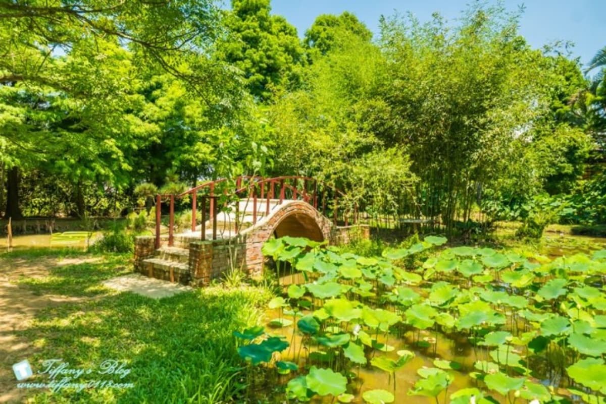 錯過等明年!桃園夏季限定「大王蓮」花季開跑,拍美照100公斤以下都能坐 錯過等明年!桃園夏季限定「大王蓮」花季開跑,拍美照100公斤以下都能坐