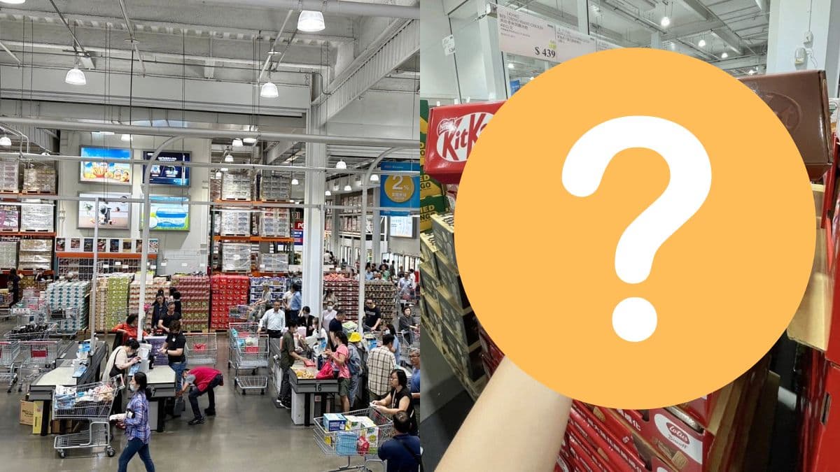 好市多獨家開賣!「巨無霸KitKat」全新聯名層次豐富,網友:冷凍後爽感爆棚