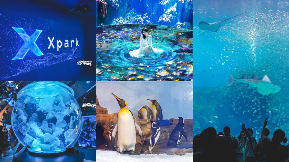 2026 Xpark 桃園水族館全攻略!最新活動、門票優惠、必看亮點、美食推薦