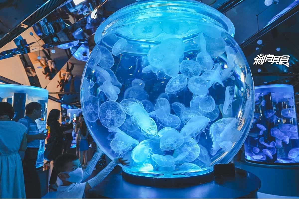 2026 Xpark 桃園水族館全攻略!最新活動、門票優惠、必看亮點、美食推薦 2026 Xpark 桃園水族館全攻略!最新活動、門票優惠、必看亮點、美食推薦
