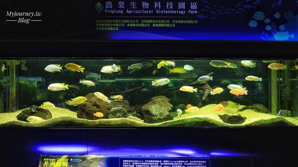 農業科技園區觀賞水族展示廳 img