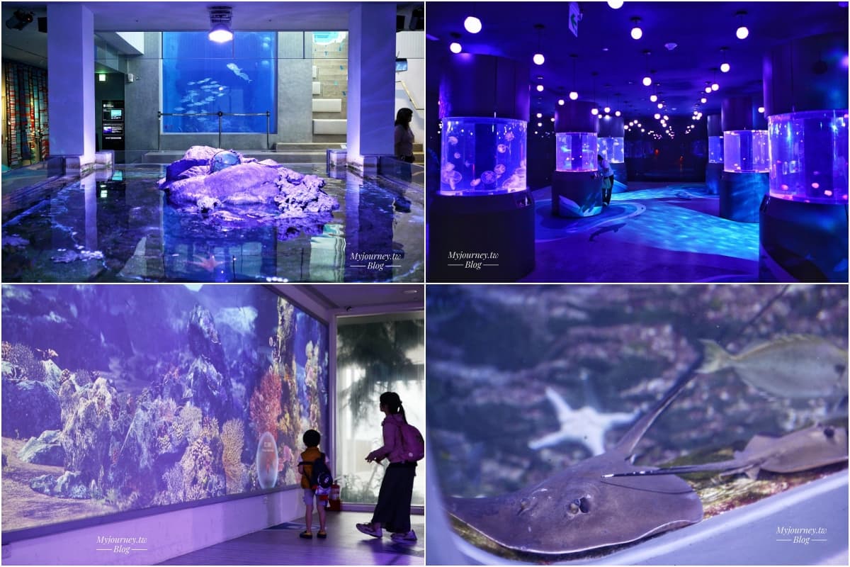 不只Xpark和海生館!全台9座水族館主題特色,解鎖屏東隱藏版水族館 全台水族館推薦:基隆潮境智能水族館