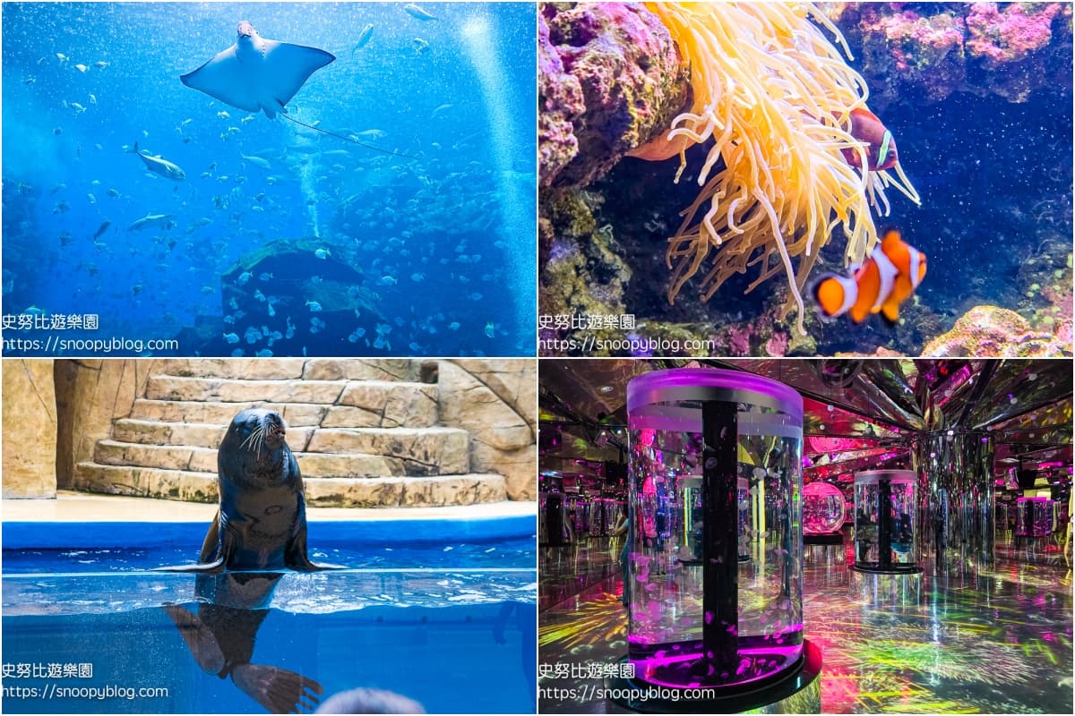 不只Xpark和海生館!全台9座水族館主題特色,解鎖屏東隱藏版水族館 全台水族館推薦:桃園Xpark