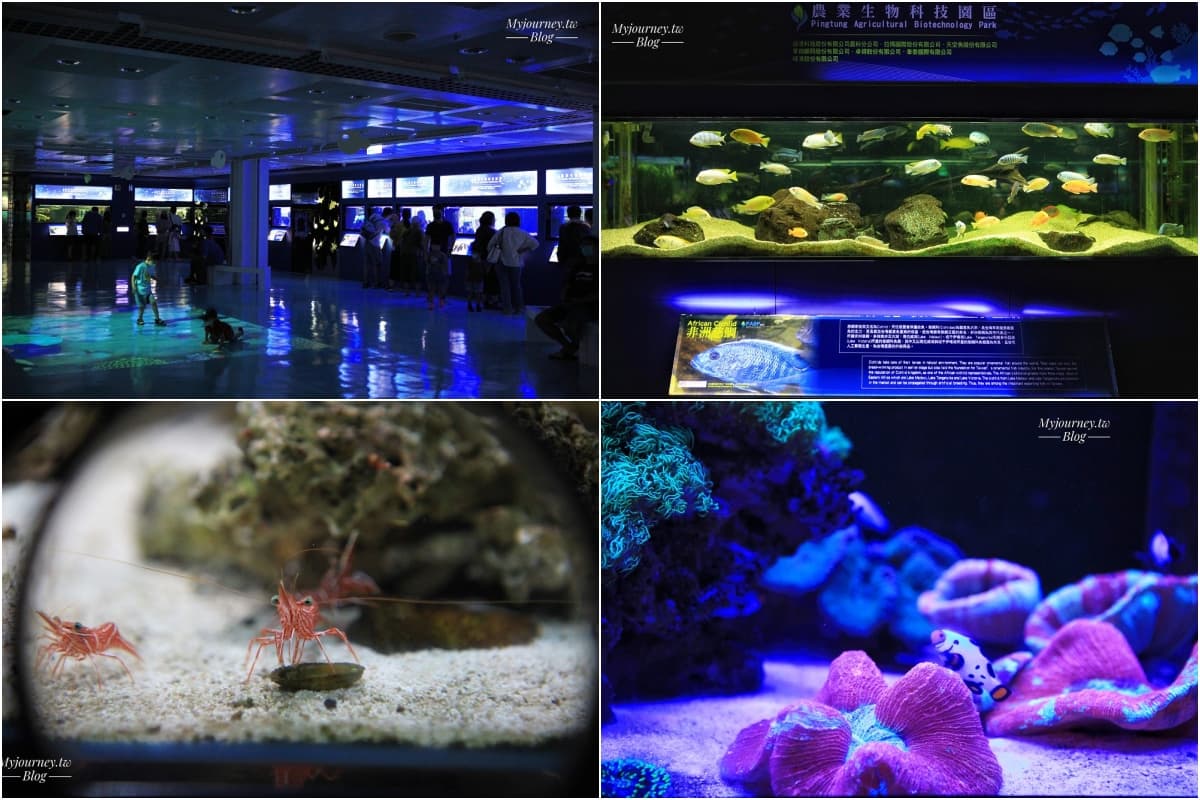 不只Xpark和海生館!全台9座水族館主題特色,解鎖屏東隱藏版水族館 全台水族館推薦:屏東長治水族館