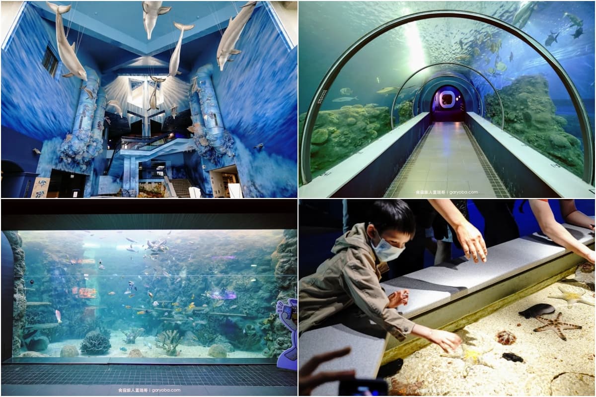 不只Xpark和海生館!全台9座水族館主題特色,解鎖屏東隱藏版水族館 全台水族館推薦:澎湖水族館