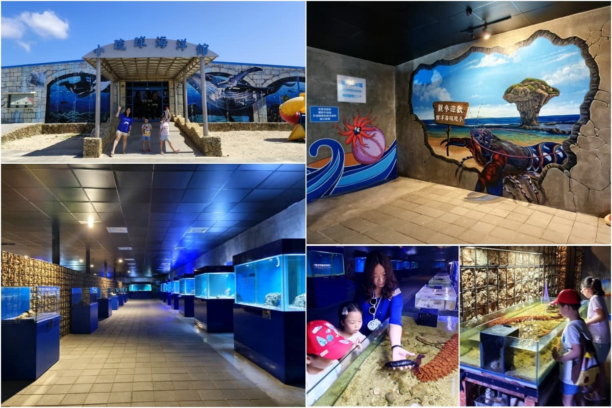 不只Xpark和海生館!全台9座水族館主題特色,解鎖屏東隱藏版水族館 全台水族館推薦:小琉球海洋館