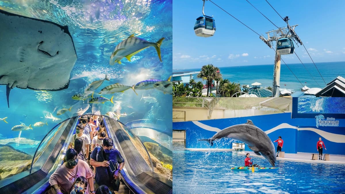 花蓮遠雄海洋公園這樣玩!遊樂設施、海豚表演、夜宿體驗,門票/住宿全攻略
