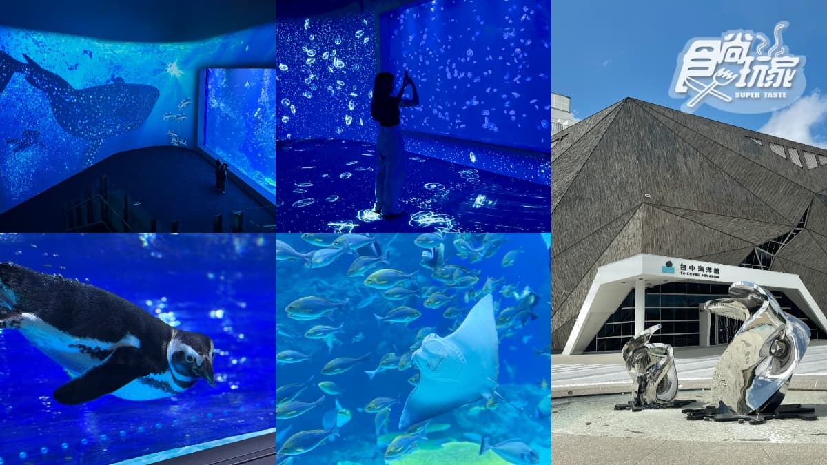 全台最美「台中海洋館」開幕直擊!全館8大展區開箱,票價、參觀資訊一次看