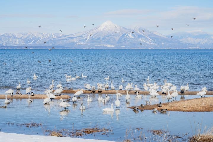 台灣虎航直飛福島秋冬這樣玩!鐵道迷搶拍只見線、泡百年古湯,鬼滅迷必訪景點 台灣虎航直飛福島秋冬這樣玩!鐵道迷搶拍只見線、泡百年古湯,鬼滅迷必訪景點