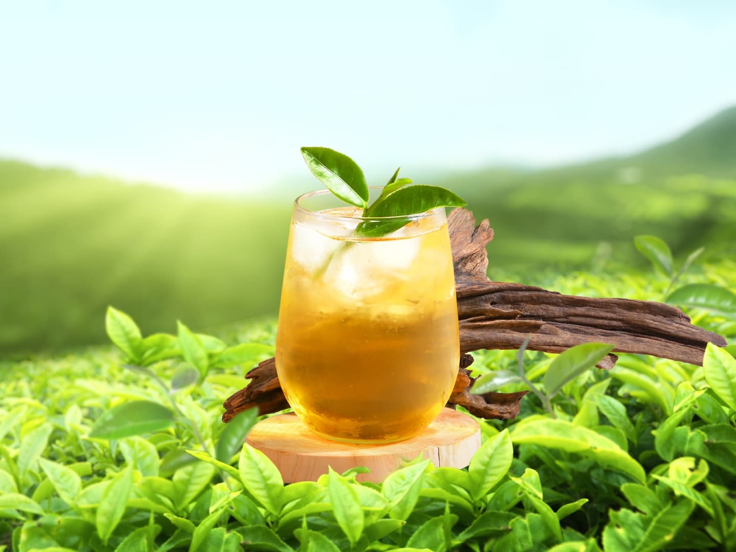 85度C名字有「多」免費喝!翰林茶館「無糖日買一送一」,一路爽喝到年底 85度C名字有「多」免費喝!翰林茶館「無糖日買一送一」,一路爽喝到年底