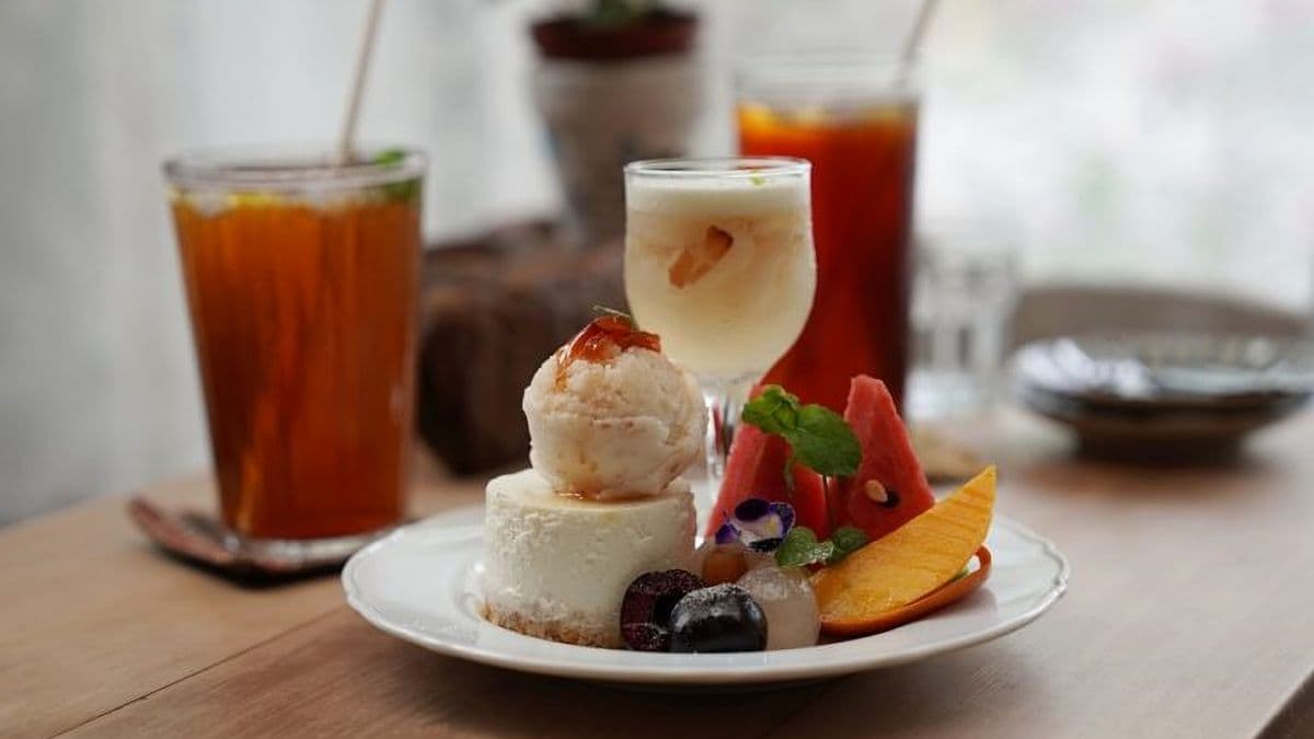 KAMOGAMO img