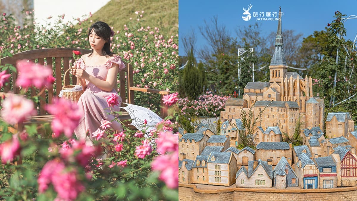 全台最大「玫瑰花園」免費拍!超過20種玫瑰接力綻放,1招免費換哈根達斯