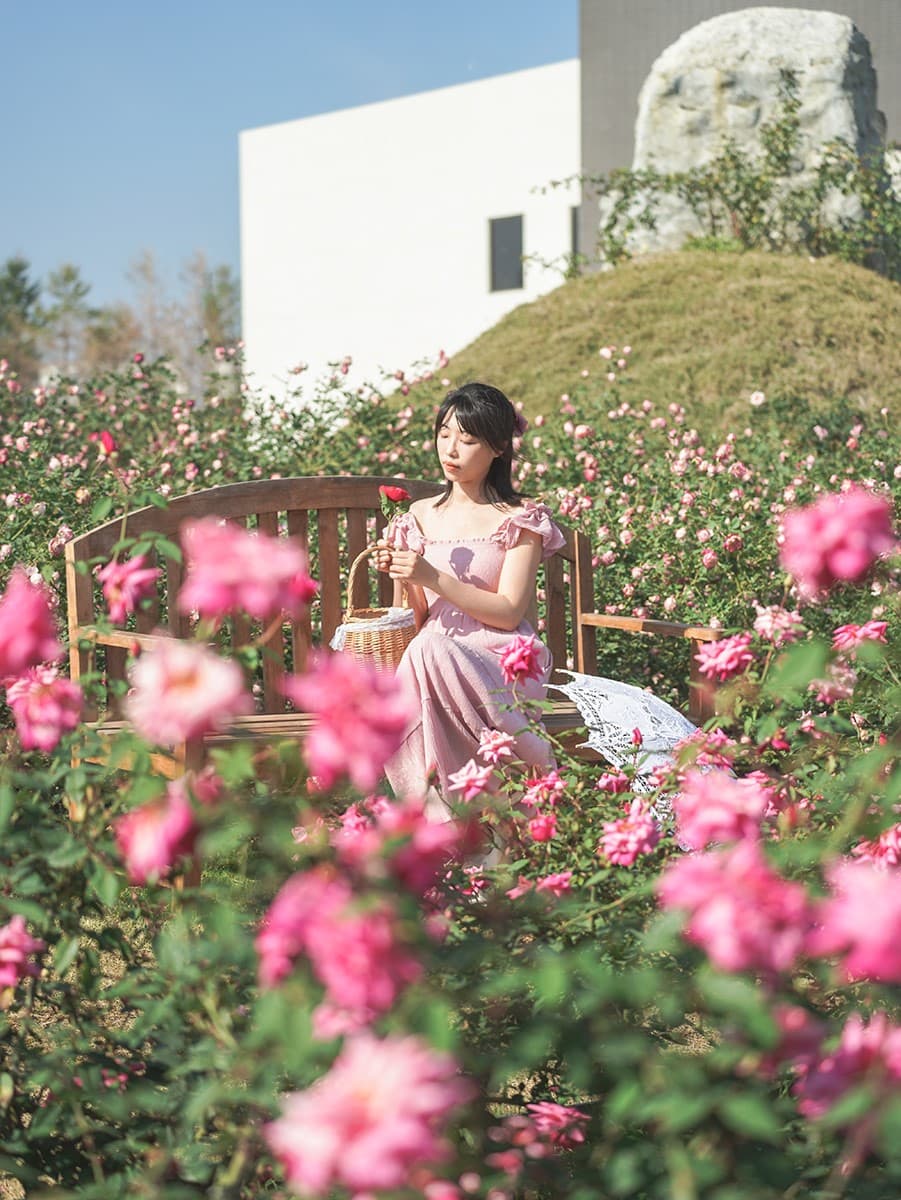 全台最大「玫瑰花園」免費拍!超過20種玫瑰接力綻放,1招免費換哈根達斯 全台最大「玫瑰花園」免費拍!超過20種玫瑰接力綻放,1招免費換哈根達斯
