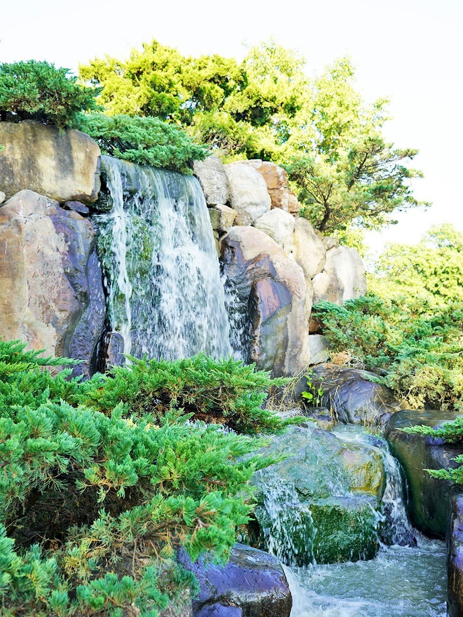 全台最大「玫瑰花園」免費拍!超過20種玫瑰接力綻放,1招免費換哈根達斯 全台最大「玫瑰花園」免費拍!超過20種玫瑰接力綻放,1招免費換哈根達斯