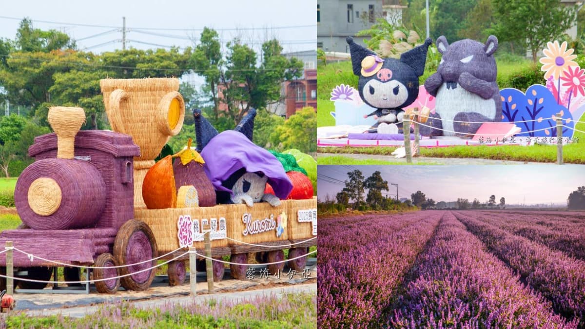 酷洛米出沒桃園!打卡夢幻「台版普羅旺斯」紫色花海,快閃16天免費拍