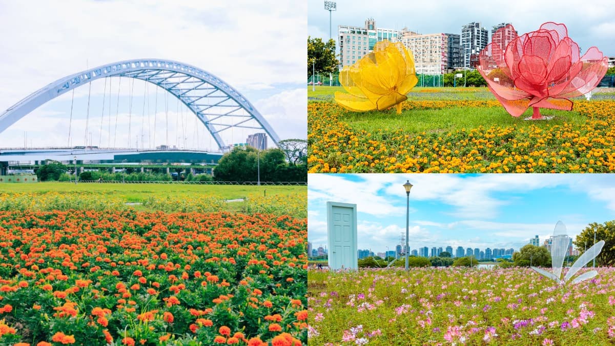 免費賞花景點!「台北中正河濱公園」花海倒數中,13萬盆彩色花朵綻放