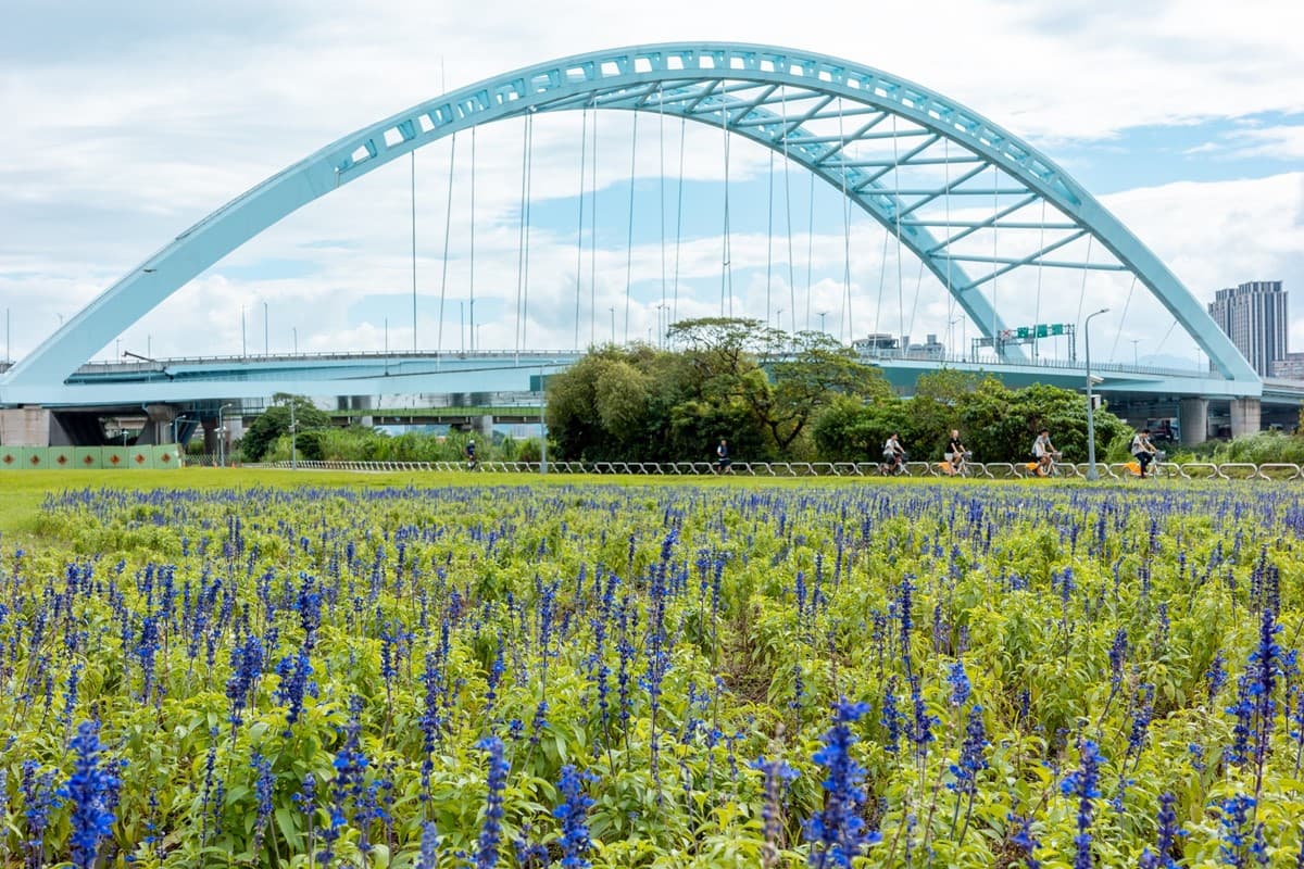 免費賞花景點!「台北中正河濱公園」花海倒數中,13萬盆彩色花朵綻放 免費賞花景點!「台北中正河濱公園」花海倒數中,13萬盆彩色花朵綻放