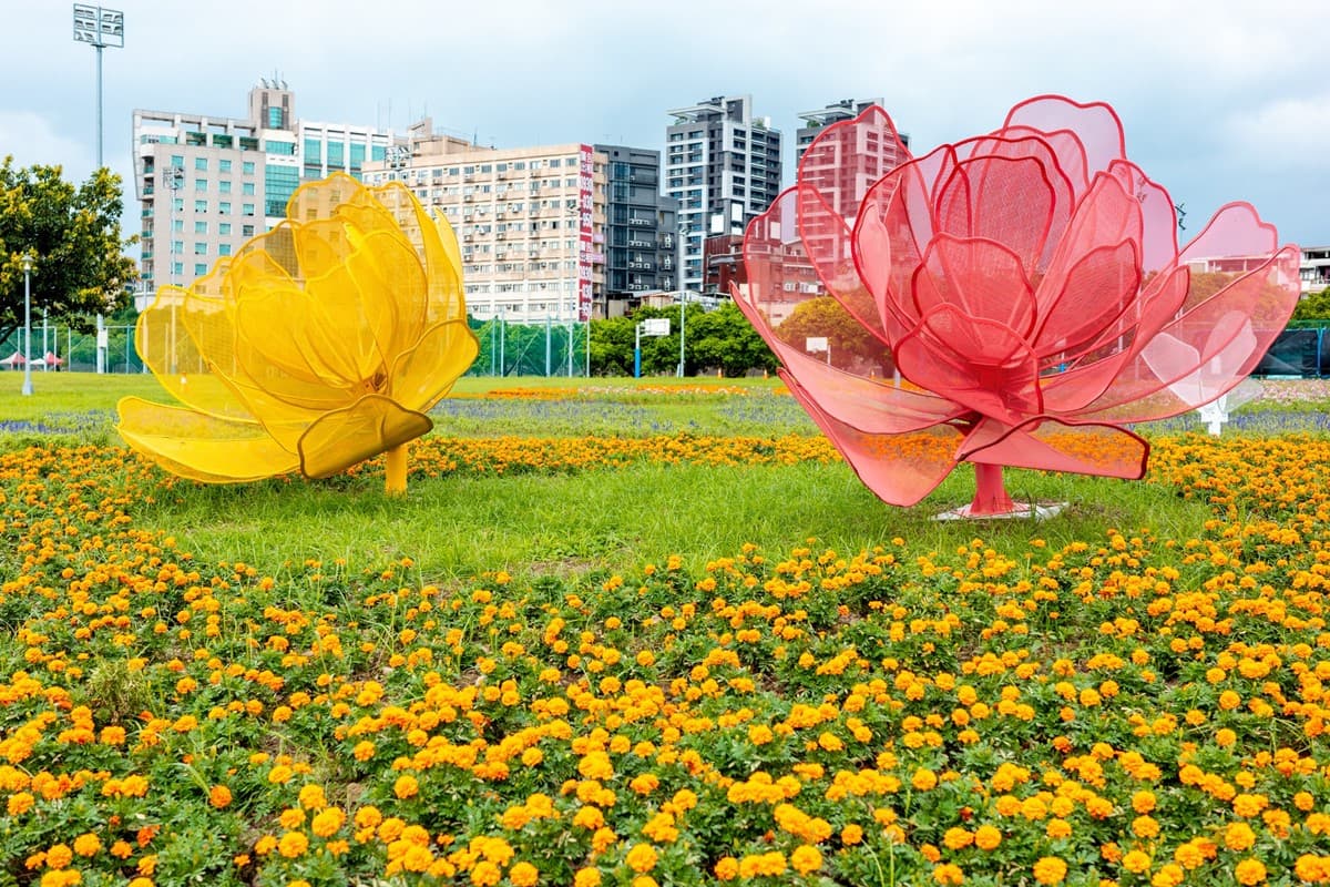 免費賞花景點!「台北中正河濱公園」花海倒數中,13萬盆彩色花朵綻放 免費賞花景點!「台北中正河濱公園」花海倒數中,13萬盆彩色花朵綻放