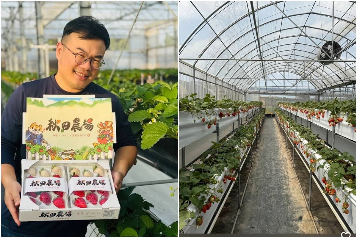 送草莓氣泡飲現省80元!親子必遊12家草莓農場,還可賞落羽松、做糖葫蘆(中獎公布) 送草莓氣泡飲現省80元!親子必遊12家草莓農場,還可賞落羽松、做糖葫蘆(中獎公布)