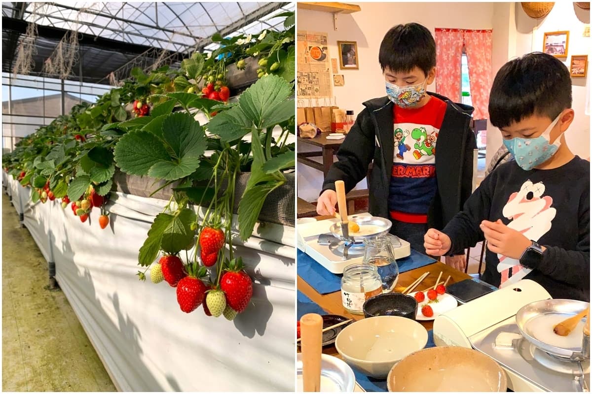 送草莓氣泡飲現省80元!親子必遊12家草莓農場,還可賞落羽松、做糖葫蘆(中獎公布) 送草莓氣泡飲現省80元!親子必遊12家草莓農場,還可賞落羽松、做糖葫蘆(中獎公布)