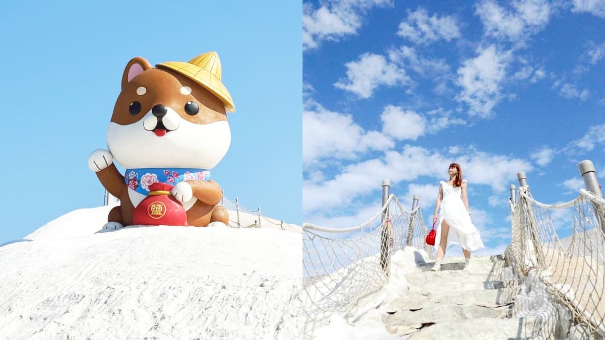 6公尺「巨大柴柴」出沒台南!打卡偽出國雪山美景,可愛柴犬遍布園區萌翻天