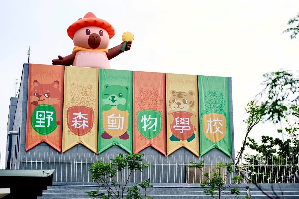 在地人免費逛!高雄全新「森林魔法動物園」1月開放,超過20種萌寵動物集合 在地人免費逛!高雄全新「森林魔法動物園」1月開放,超過20種萌寵動物集合