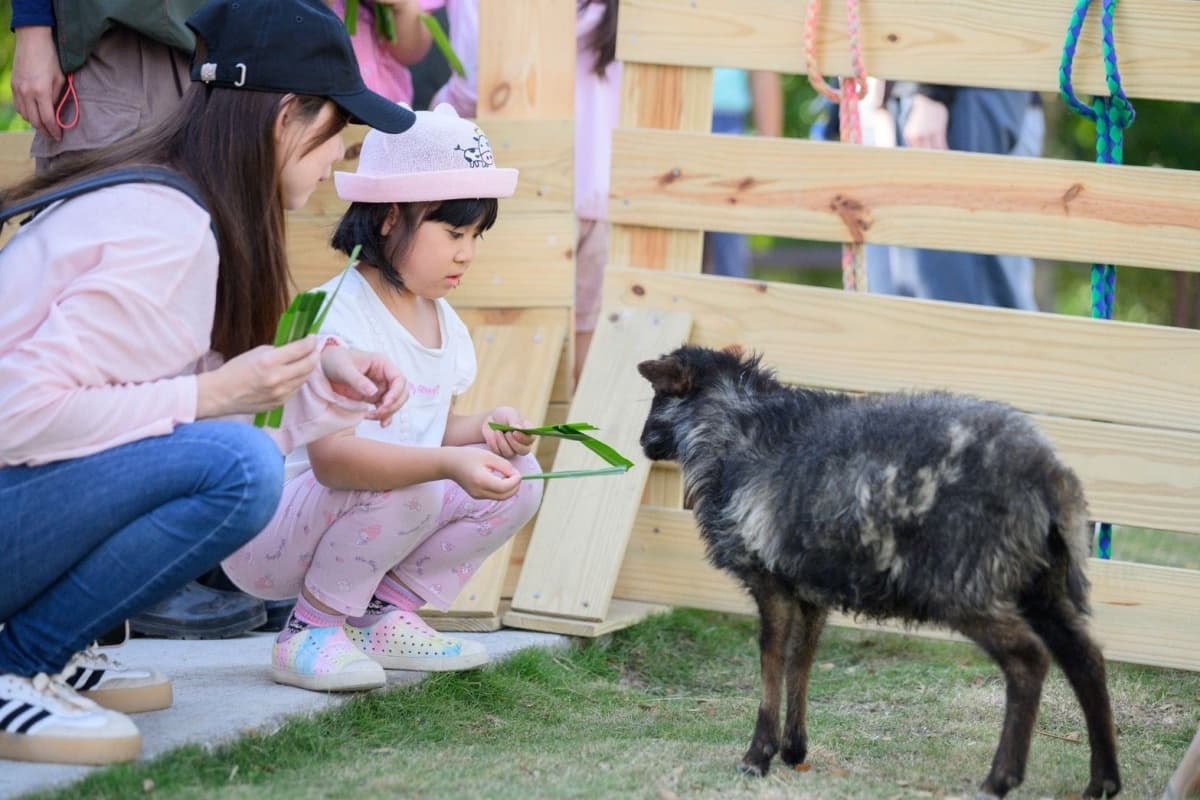 高雄最新「野森動物學校」開箱!萌寵動物近距離互動超幸福,餐飲設施一次看 高雄最新「野森動物學校」開箱!萌寵動物近距離互動超幸福,餐飲設施一次看