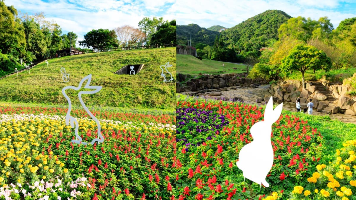 台北免費賞花秘境!繽紛花海持續到2月,搭捷運、公車就能輕鬆到