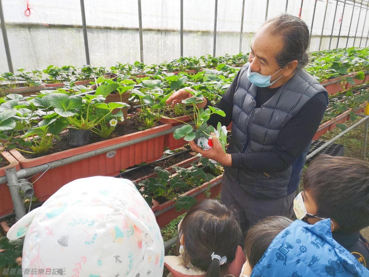 免踩泥巴下雨天也能去!6家好玩草莓園:DIY大福、超Q草莓裝、現烤桶仔雞 免踩泥巴下雨天也能去!6家好玩草莓園:DIY大福、超Q草莓裝、現烤桶仔雞