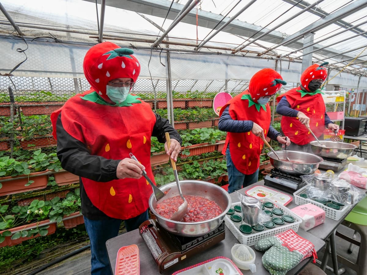 免踩泥巴下雨天也能去!6家好玩草莓園:DIY大福、超Q草莓裝、現烤桶仔雞 免踩泥巴下雨天也能去!6家好玩草莓園:DIY大福、超Q草莓裝、現烤桶仔雞