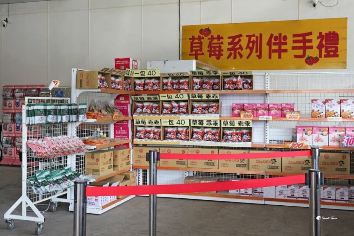 大湖草莓季必收!8間強大果園懶人包:稀有白草莓、韓系下午茶,連毛孩也能去 大湖草莓季必收!8間強大果園懶人包:稀有白草莓、韓系下午茶,連毛孩也能去