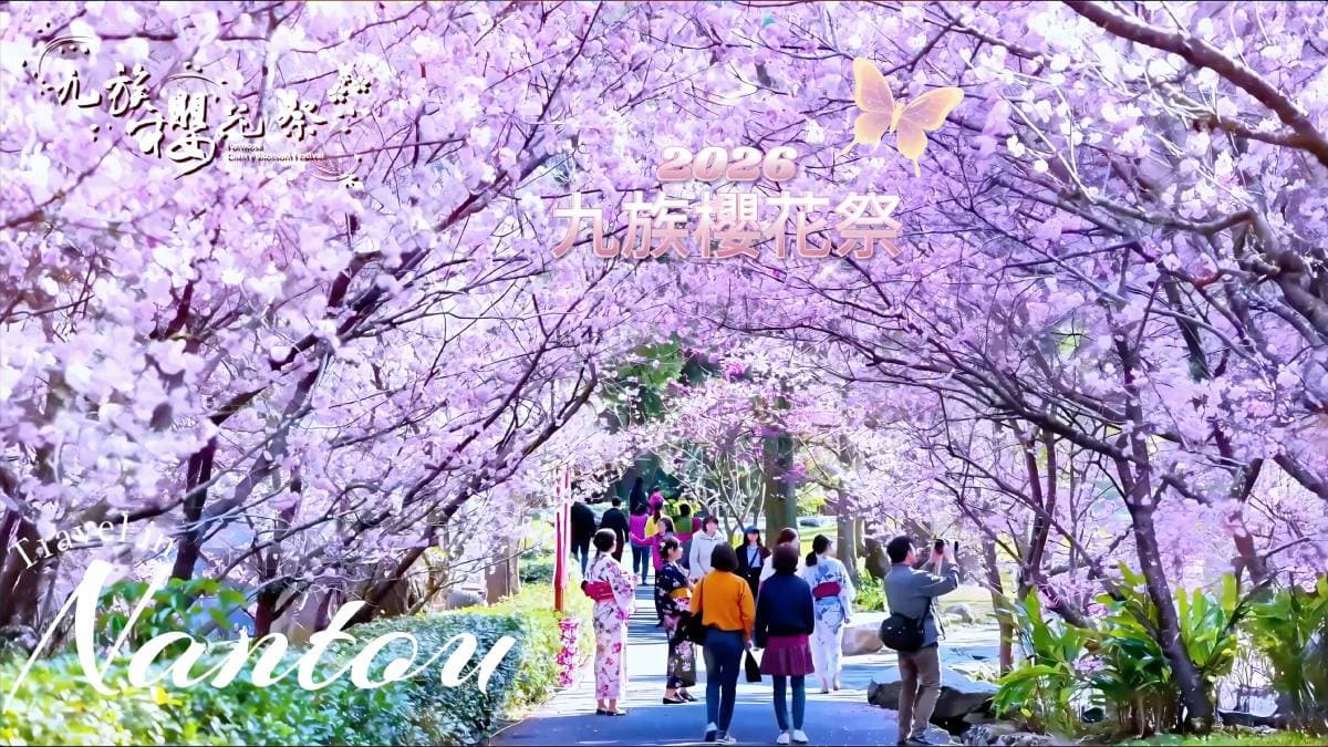 九族櫻花祭1/31開跑!原民歌舞迎春、招財貓「九萬兩」打頭陣,櫻花預計2月中下旬盛開