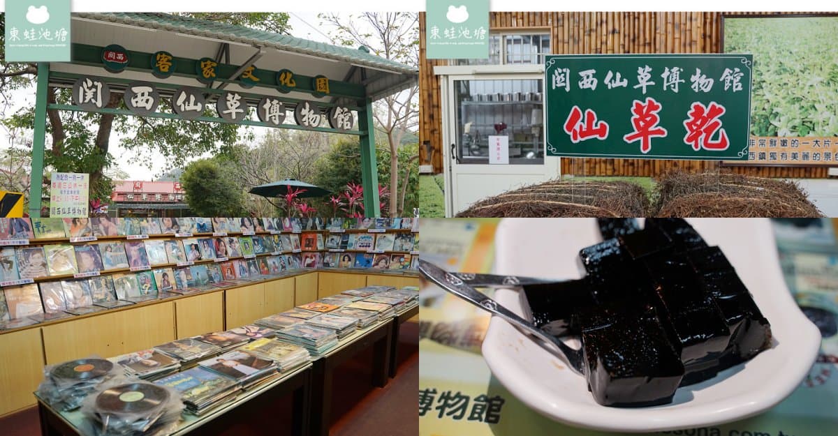 免門票拍金黃柿海、多肉植物園!新竹必去高CP值景點,9間觀光工廠、農場推薦 新竹景點推薦:關西仙草博物館