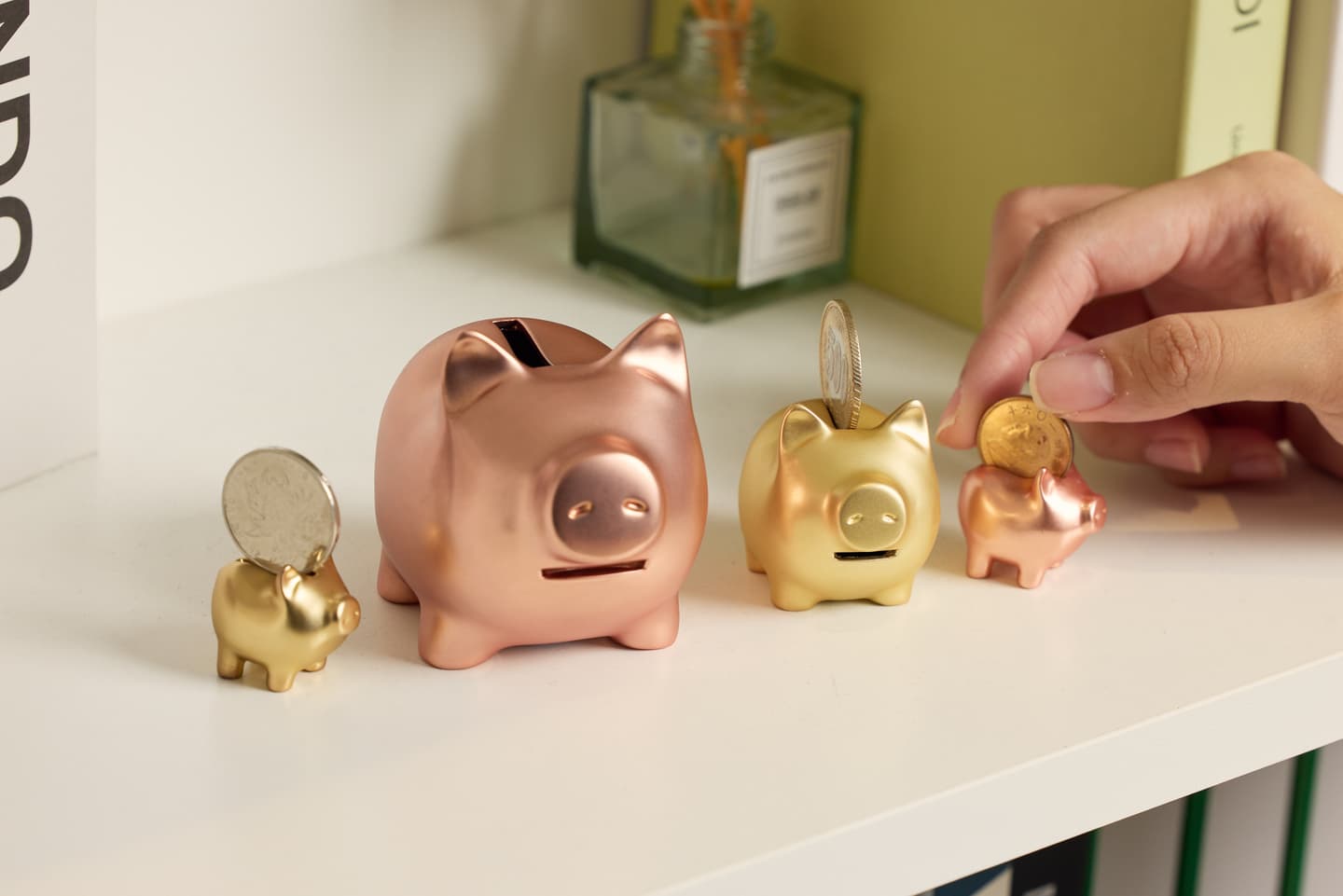 金豬 GOLDENPIG img