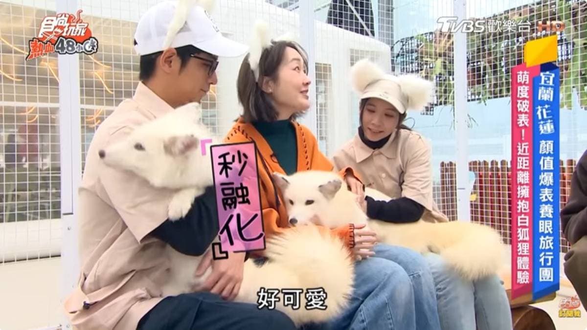 萌獸出沒注意!宜蘭外景邊走邊拍都能拍出高顏值美照,一秒變身神攝手關鍵就在它
