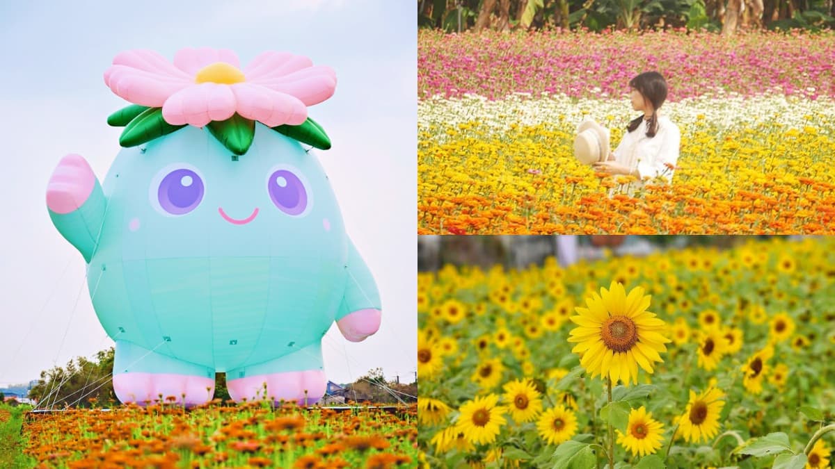 高雄走春開逛!「2026美濃花海節」花季倒數,必拍超萌小精靈、漸層花彩帶