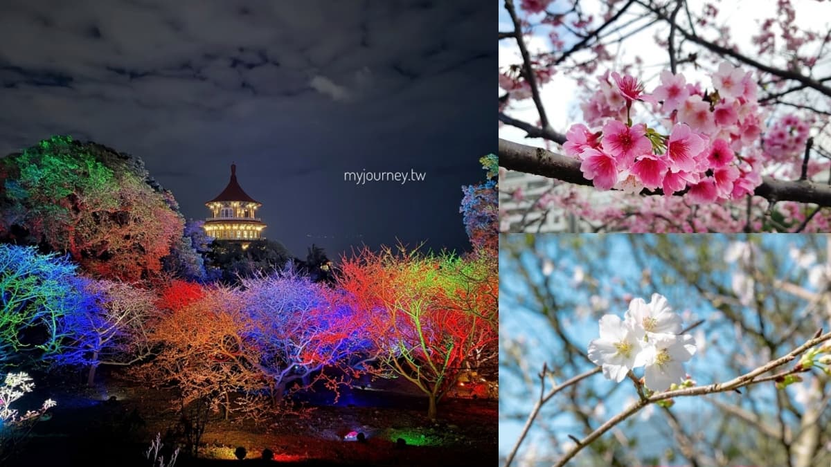 櫻花季必看!內湖樂活公園、淡水天元宮夜櫻迷人氛圍,還有4處必去賞櫻地點