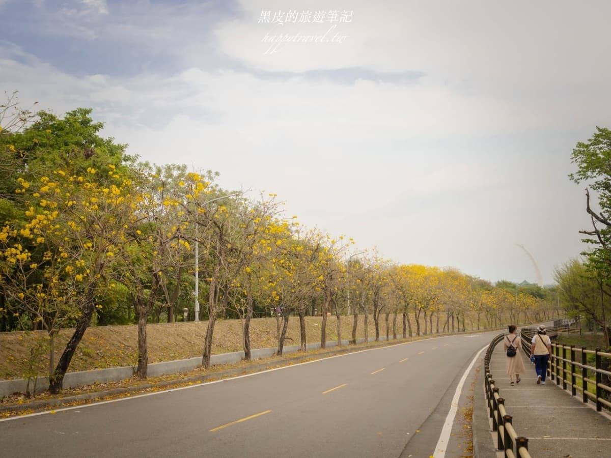 嘉義台版櫻花季+2026台灣燈會!4大風鈴木景點解鎖,順遊景點+美食推薦 嘉義風鈴木:八掌溪堤防軍輝橋步道