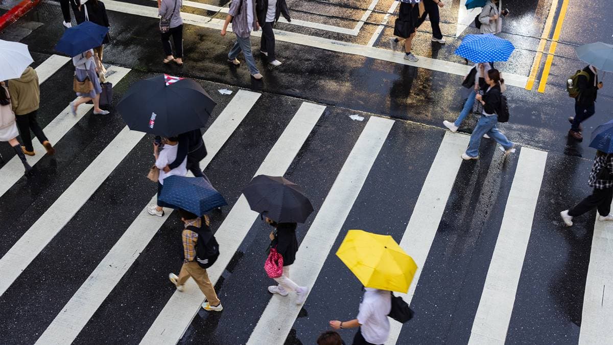 228連假要變天了!雨最大時間、地區一次看,直到這天才轉晴