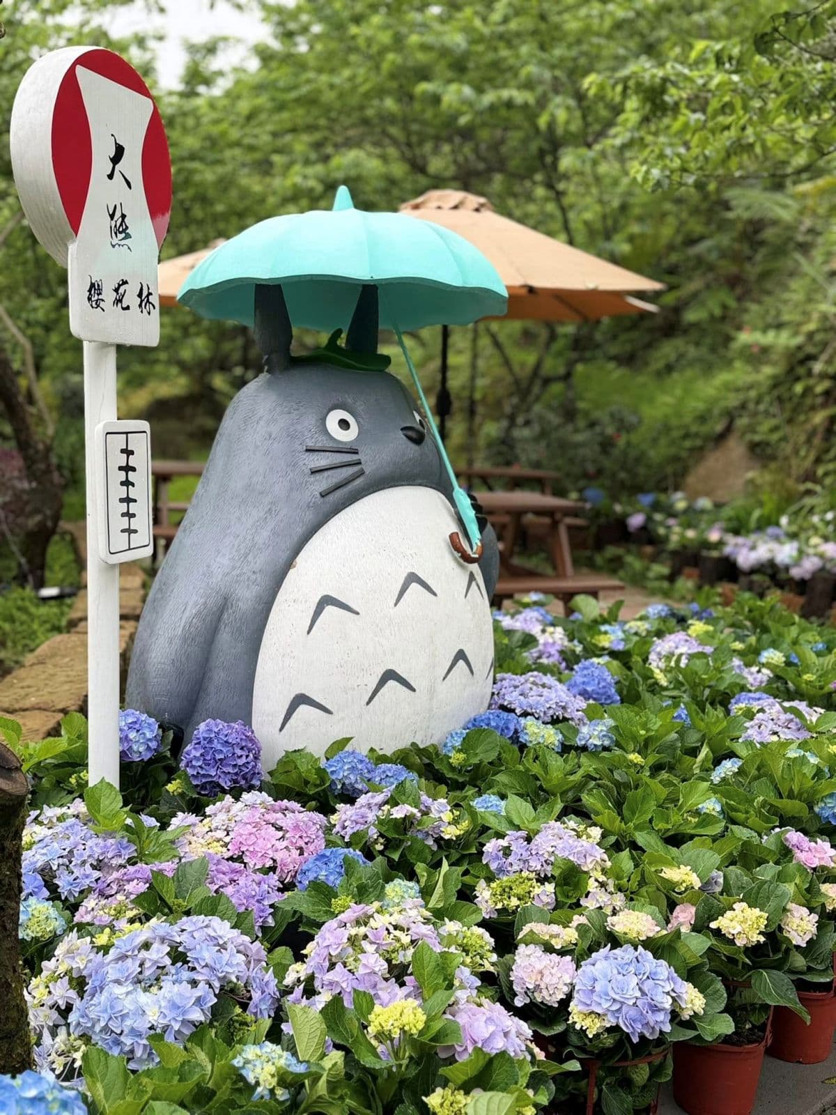 全台最大「夢幻紫藤花園」在新北!3月這天開放入園,加碼看櫻花+繡球祕境 全台最大「夢幻紫藤花園」在新北!3月這天開放入園,加碼看櫻花+繡球祕境