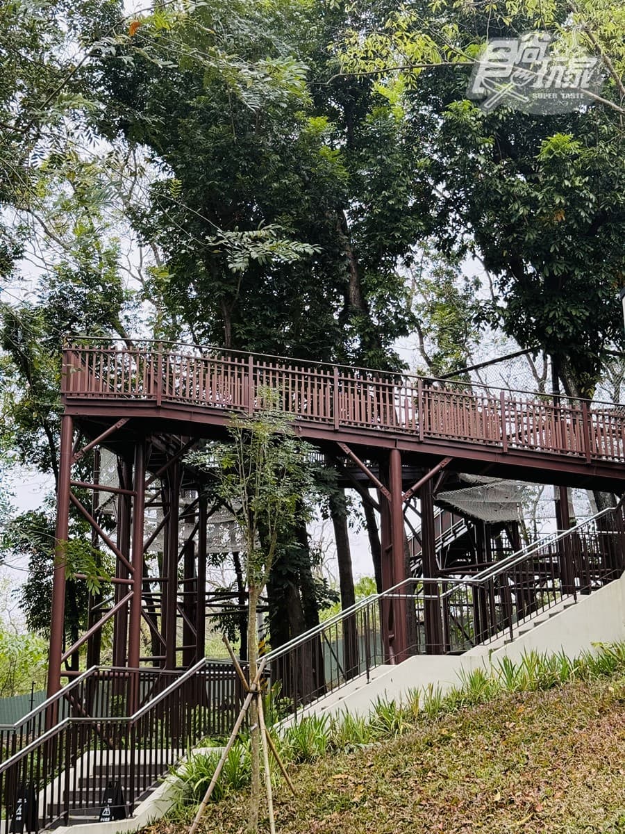 全台首座「氦氣球樂園」開箱!薰衣草森林九九峰:票價、必吃美食、設施介紹 全台首座「氦氣球樂園」開箱!薰衣草森林九九峰:票價、必吃美食、設施介紹