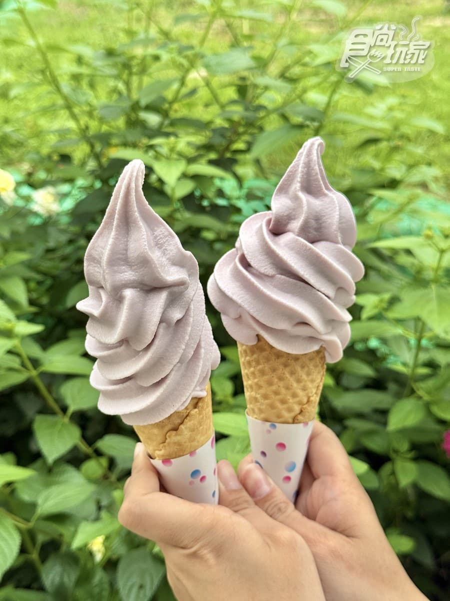 全台首座「氦氣球樂園」開箱!薰衣草森林九九峰:票價、必吃美食、設施介紹 全台首座「氦氣球樂園」開箱!薰衣草森林九九峰:票價、必吃美食、設施介紹