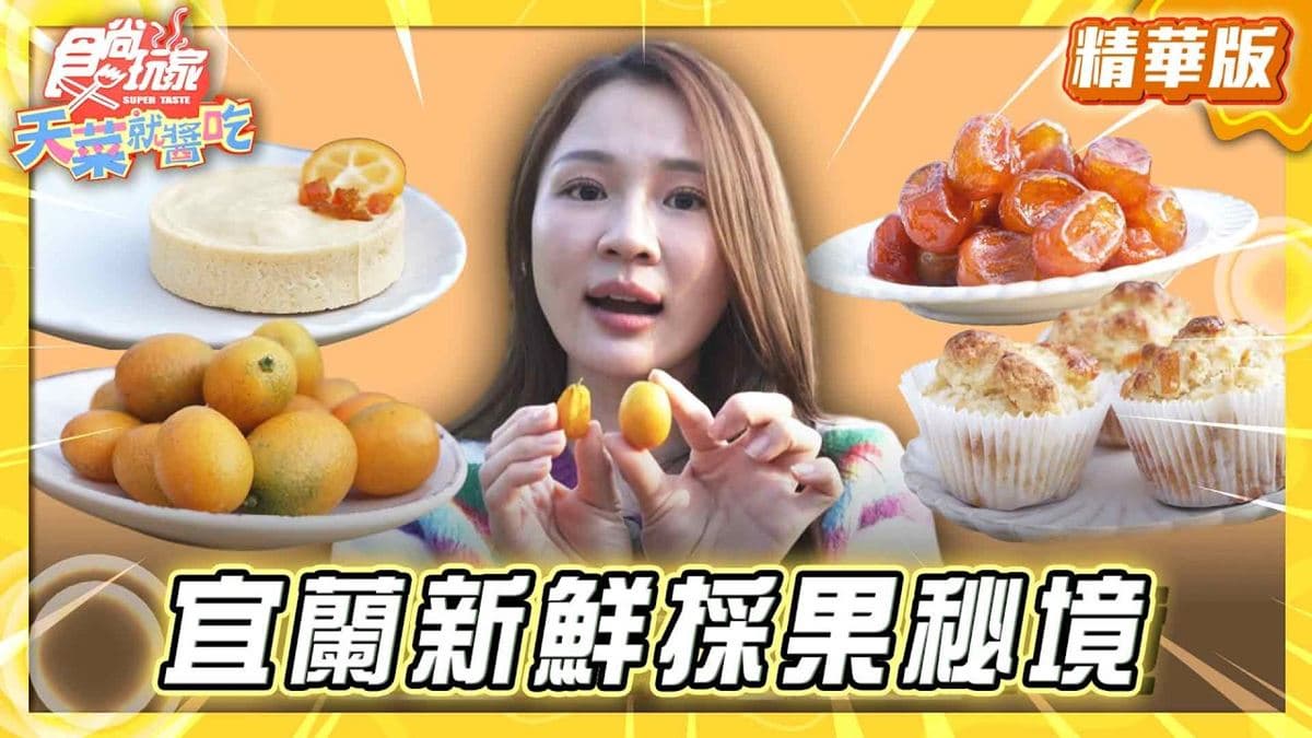 宜蘭礁溪必去「採果秘境」!《食尚玩家》林莎推薦「蘭陽金柑生產合作社」
