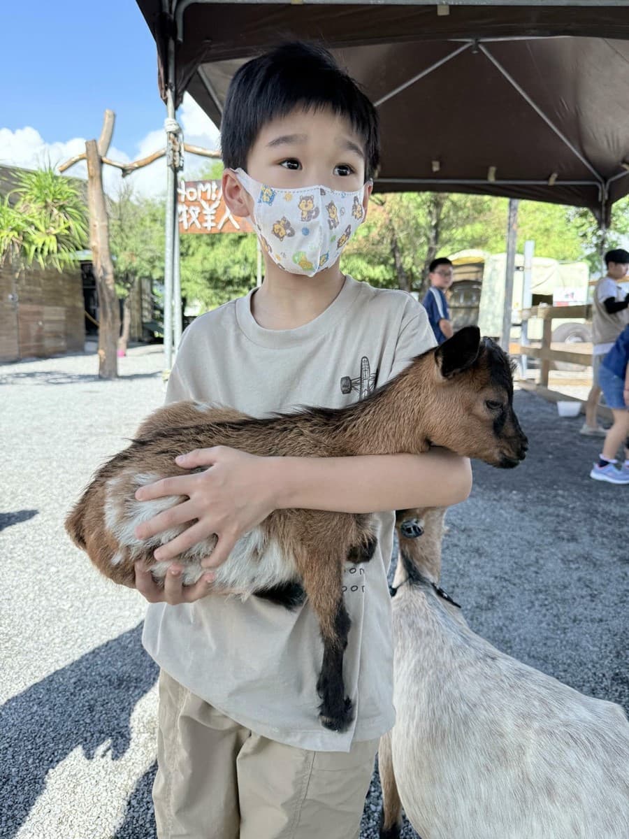 打卡宜蘭荒野風動物農場!近距離餵食呆萌水豚、抱抱小羊,還有溜滑梯球池 打卡宜蘭荒野風動物農場!近距離餵食呆萌水豚、抱抱小羊,還有溜滑梯球池
