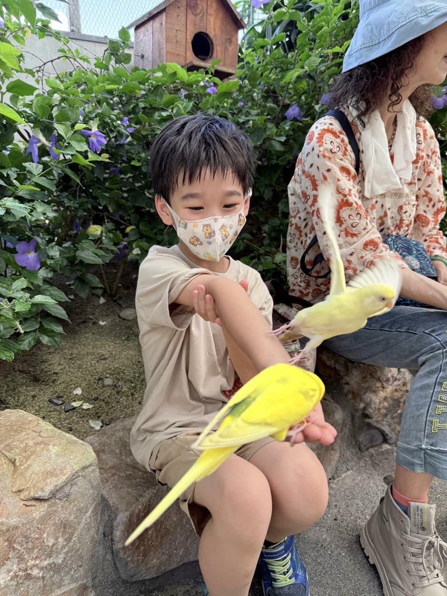 打卡宜蘭荒野風動物農場!近距離餵食呆萌水豚、抱抱小羊,還有溜滑梯球池 打卡宜蘭荒野風動物農場!近距離餵食呆萌水豚、抱抱小羊,還有溜滑梯球池