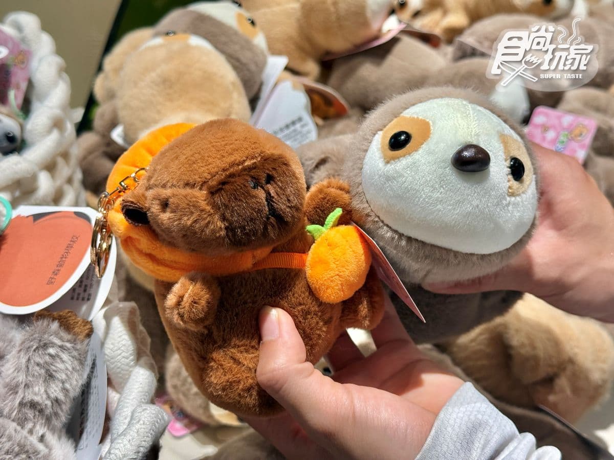 高雄最新「野森動物學校」開箱!萌寵動物近距離互動超幸福,餐飲設施一次看 高雄最新「野森動物學校」開箱!萌寵動物近距離互動超幸福,餐飲設施一次看
